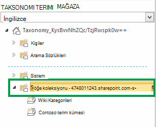 Site koleksiyonu içindeki tüm terim kümelerini içeren grup