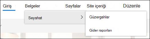 Üst gezinti düzeyleri