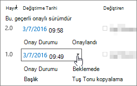 Sürüm açılır iletişim kutusu düğmesi