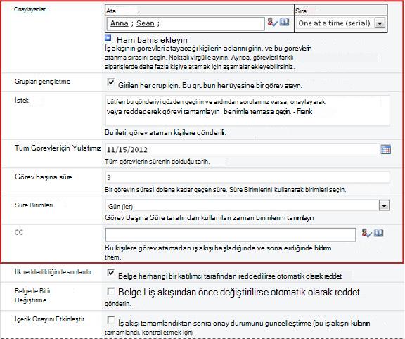 Çalışmaya özgü bilgileri girmek için form