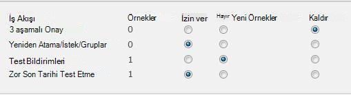 İş Akışlarını Kaldır sayfasındaki form