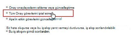 Tüm iş akışlarını iptal et bağlantısı