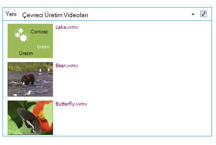İçerik Sorgusu Web Bölümü Örneği