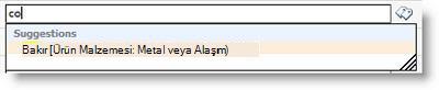 Yazmaya başladığınızda terimler size önerilir.