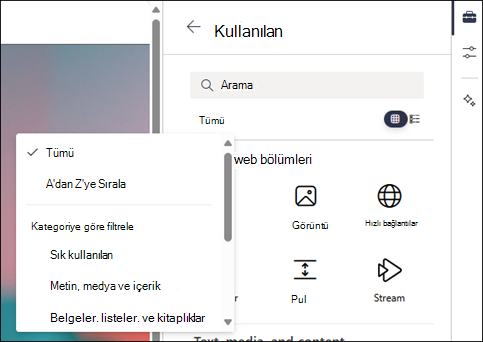 Araç Kutusundaki düzey 2'de web bölümlerine filtre uygulama