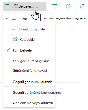 Çoğu listede, Görünüm seçenekleri menüsünü kullanarak seçebileceğiniz başka görünümler de vardır.
