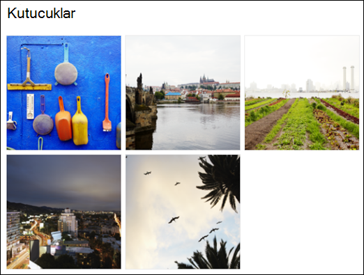 Resim Galerisi Web Bölümü Kutucuk Görünümü