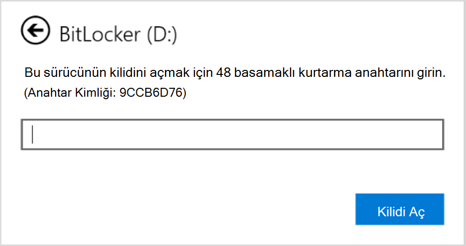 Veri sürücüsü için BitLocker kurtarma moduna girmek için kullanılan iletişim kutusunun ekran görüntüsü.