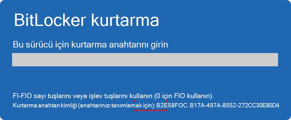 Anahtar kimliğini vurgulayan BitLocker kurtarma ekranının ekran görüntüsü.