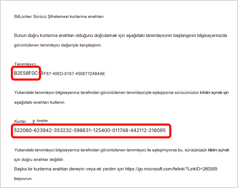 BitLocker kurtarma anahtarı çıktısının ekran görüntüsü.