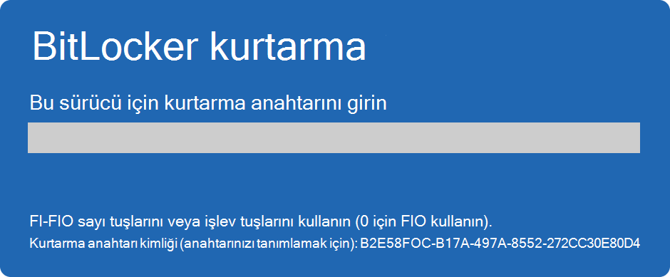 BitLocker kurtarma ekranının ekran görüntüsü.