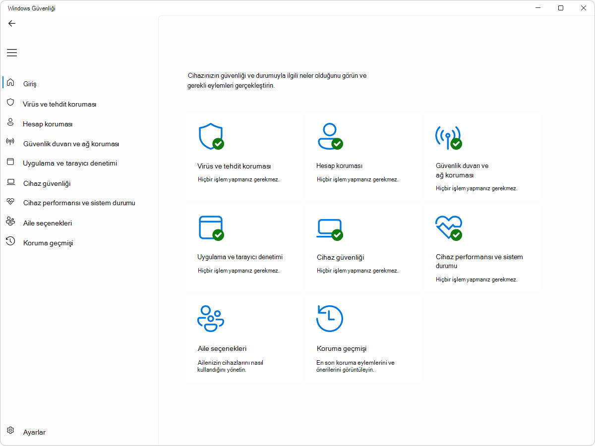 Windows Güvenliği - Giriş bölmesinin ekran görüntüsü.