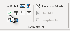 Geliştirici şeridinin Denetimler grubundaki onay kutusu denetimi.