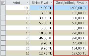 Veri Sayfası görünümünde gösterilen bir hesaplanan alan