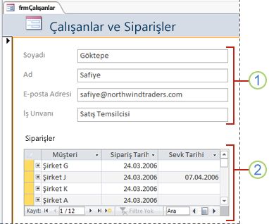 Alt form içeren bir form