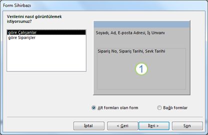 Form Sihirbazı'nın alt form sayfasını gösteren ekran görüntüsü