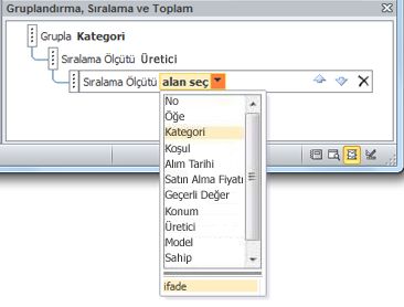 Grup, Sıralama ve Toplam bölmesinde ifade seçeneğini seçme