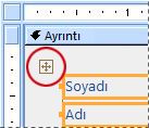 Tasarım görünümündeki bir formda düzen seçici