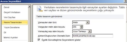 access seçenekleri tablo tasarım ayarları