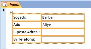 Formun yığın düzeninde bulunan alanlar