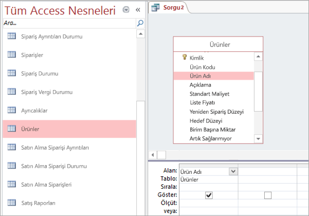 Tüm Access Nesnelerinin Ekran Görüntüsü görünümü