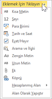 Yeni bir tablo sütunu ekleyin, Arama ve İlişki yazın