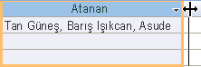 Birden çok değerli alanı yeniden boyutlandırma