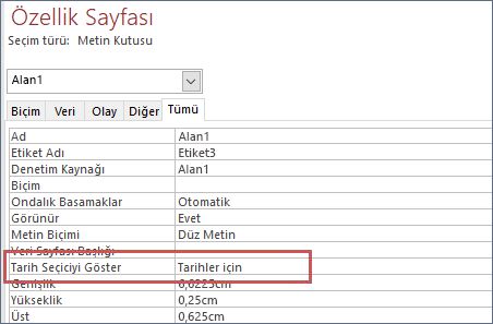 Formun Özellik Sayfasında Tarih seçici özelliğini gösterme