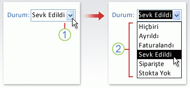 Birleşik giriş kutusu (açılır liste) kullanma