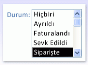 Liste kutusu