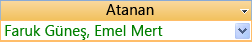 Birden çok değerli alan
