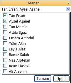 Birden çok değerli alan birleşik giriş kutusu