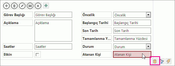 Otomatik Tamamlama denetiminin yanındaki Veri düğmesi.