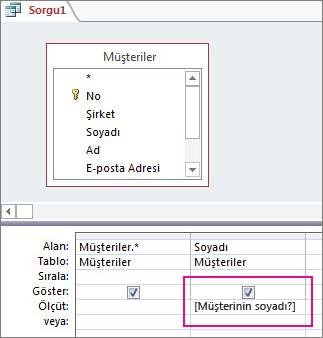 Ölçüt satırında köşeli ayraç içinde parametre sorusu