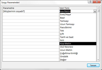 Soruyu, Sorgu Parametresi iletişim kutusuna yapıştırma