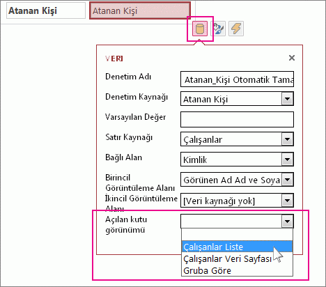 Otomatik Tamamlama görünümü için bir açılan görünüm seçme.