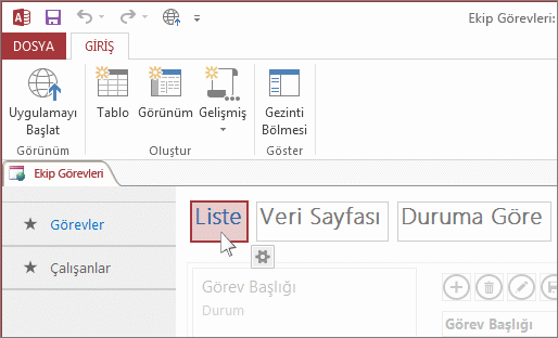 Access'te görünüm seçme.
