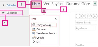 Access uygulaması için kullanılabilir görünümler
