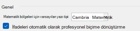 Word belgesinde ifadeleri otomatik olarak profesyonel biçime dönüştür onay kutusu