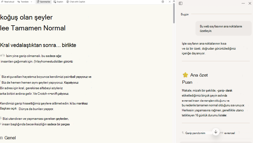 Okuma modu özetinin ekran görüntüsü.