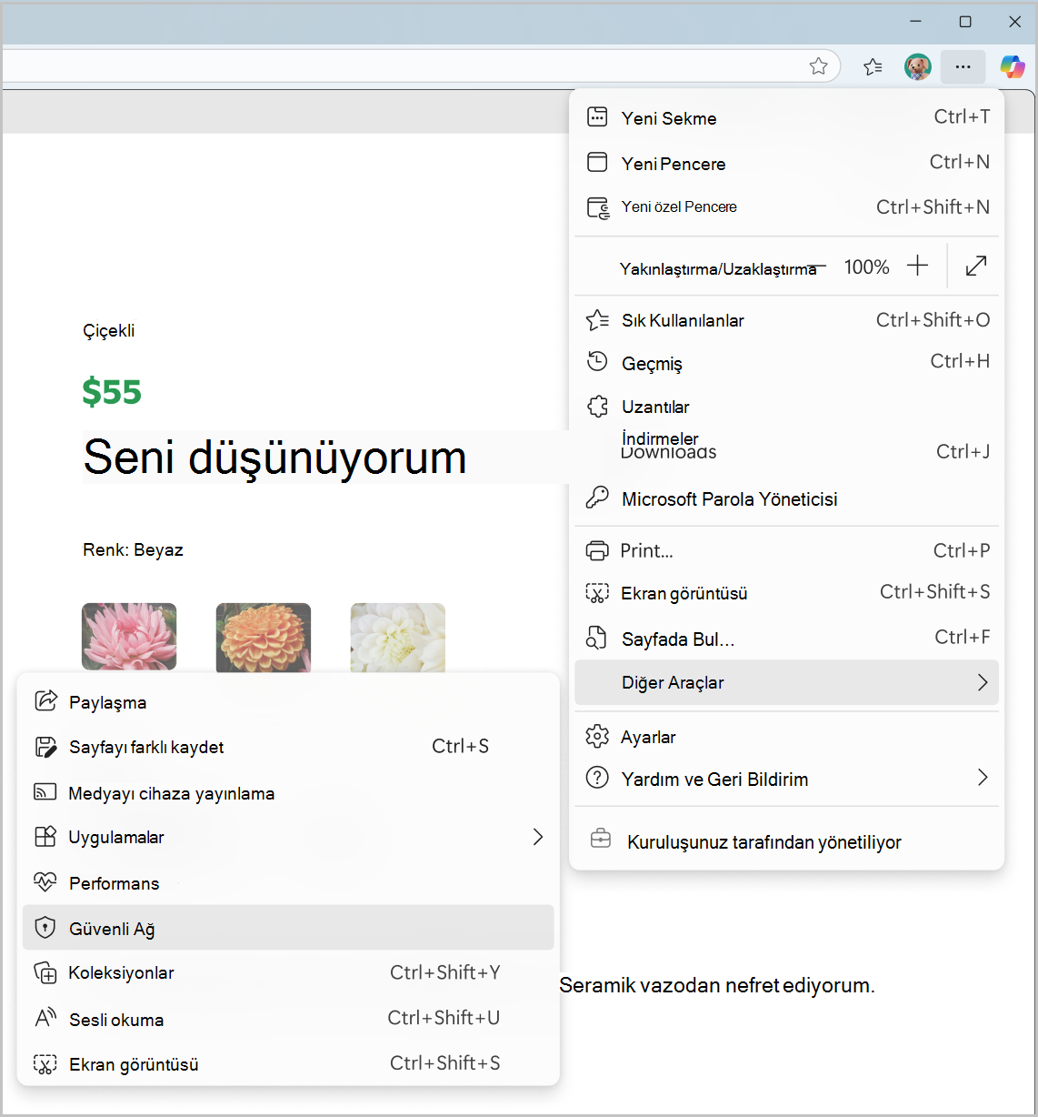 Ayarlar ve daha fazlası menüsünden Güvenli Ağ'ın ekran görüntüsü