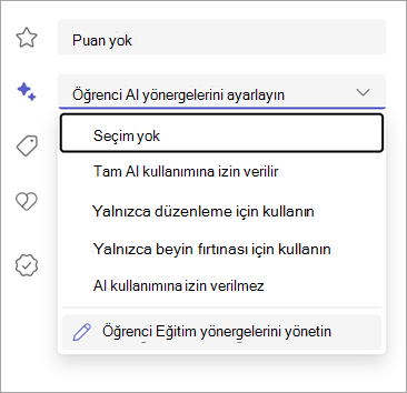 Öğrenci yapay zeka yönergelerini ayarlama seçeneklerinin ekran görüntüsü.