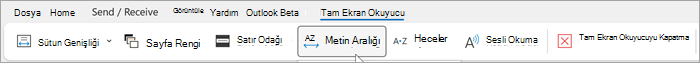 Outlook masaüstünde tam ekran okuyucu şeridinin ekran görüntüsü. Soldan sağa seçenekler: sütun genişliği, sayfa rengi, satır odağı, metin aralığı, heceler, sesli okuma, tam ekran okuyucuyu kapatma