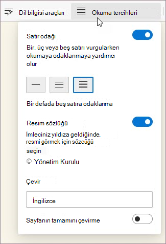 Tam Ekran Okuyucu'da okuma tercihleri