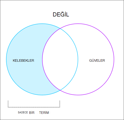 NOT işlecinin nasıl çalıştığını gösteren Venn diyagramı