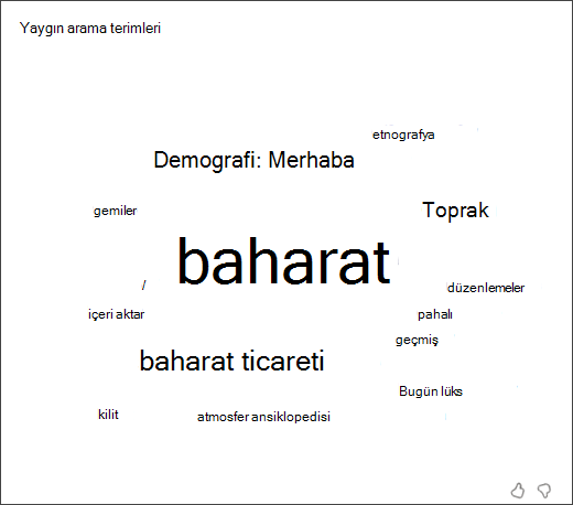 öğrencilerin arama koçunda kullandıkları en yaygın terimleri gösteren sözcük bulutunun ekran görüntüsü