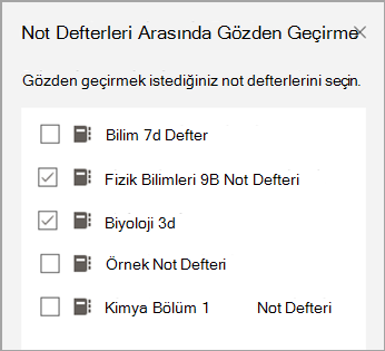 Gözden geçirilecek not defterinin ekran görüntüsü.