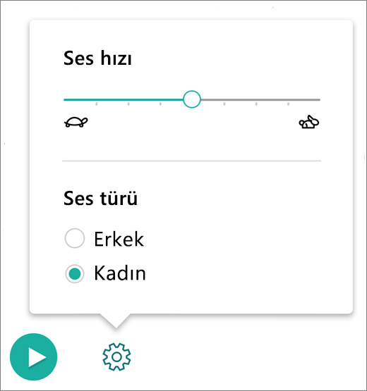 Ses ayarlarının ekran görüntüsü.