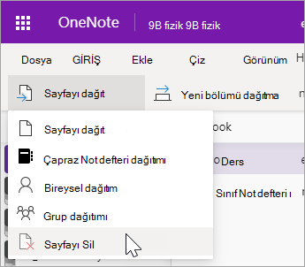 Sayfayı Sil'i seçin.