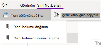 Açılan seçeneklerle birlikte Yeni Bölümü Dağıt düğmesi.